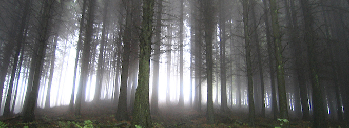 "Macclesfield Forest"